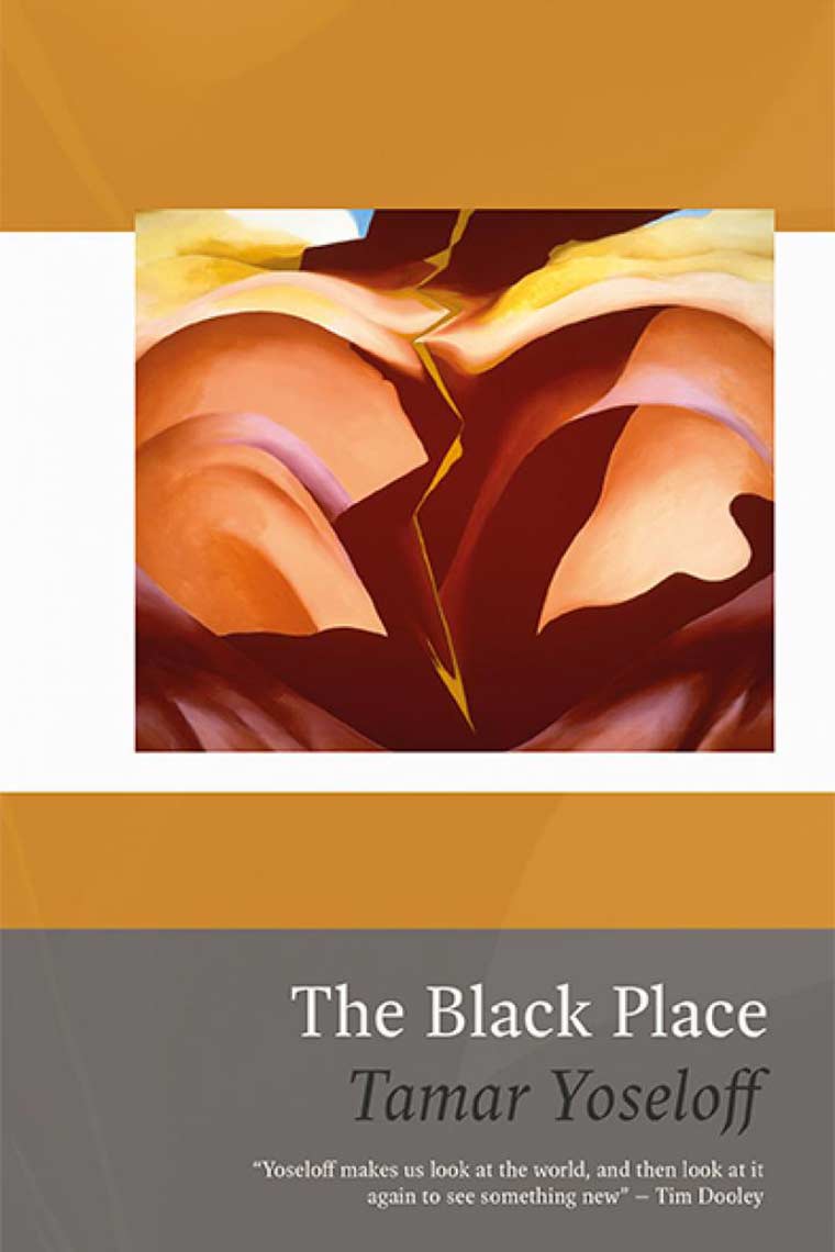 封面图片:The Black Place