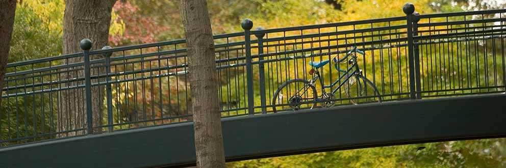自行车停在人行桥上，背景是树木