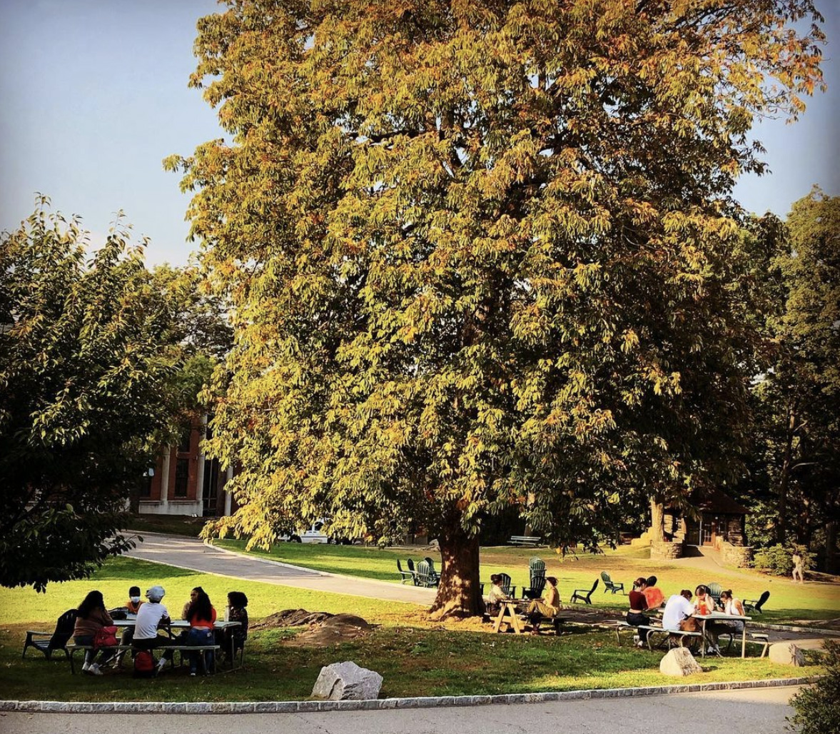 秋天的一天，学生们聚集在外面